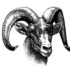 Ram-art