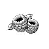 Raspberries-art