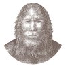 Sasquatch