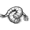 Shrimp-woodcut