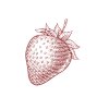 Strawberry-woodcut