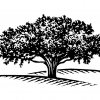 Tree-Logo