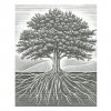 Tree-Roots-2