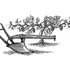 Vine-and-Plow