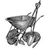 Wheelbarrow-2
