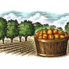 apricot-orchard-art