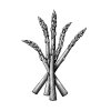 asparagus-art