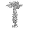 brussel-sprouts-art
