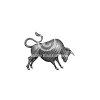 bull-4