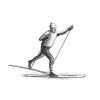 cross-country-skier