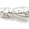 dairy_farm