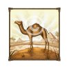 desert-camel