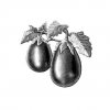 eggplant