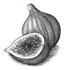 figs-art