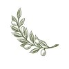 olive-branch