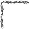 pine-tree-border-art