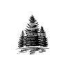 pine-trees-comp