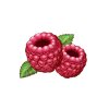 raspberries-2