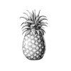 revised-pineapple-art-copy