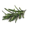 rosemary-1