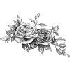roses-stock