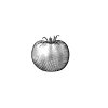 tomato-woodcut-2