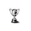 trophy-1