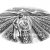 Agriculture-Art-stock