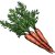 Carrots-3