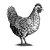 Chicken-art-1
