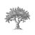 Old_Olive-Tree