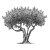 Olive-Tree-copy