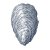 Oyster-Shell-_001