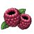 Raspberry