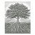 Tree-Roots-2