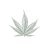 cannabis