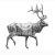 elk