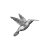 humming-bird