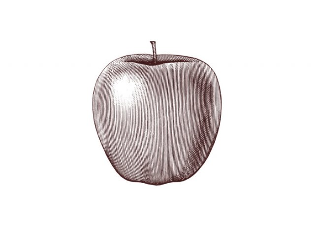 apple-art--stock--