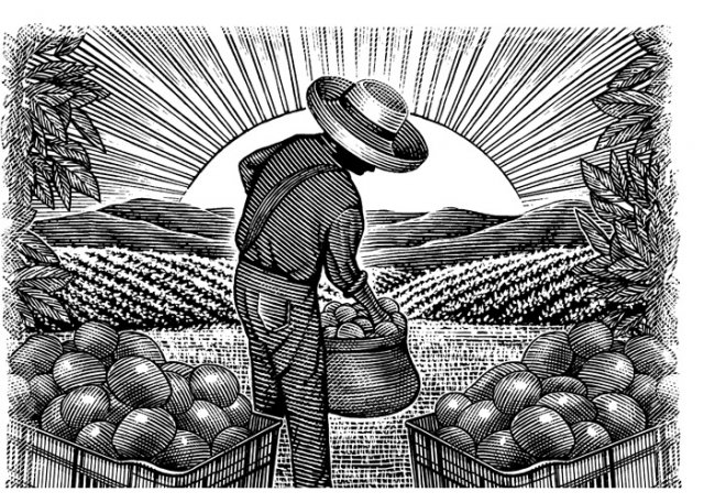 avocado-farmer-art