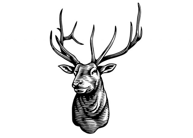 elk-final-art