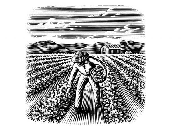 farmer-woodcut