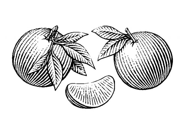 oranges-woodcut