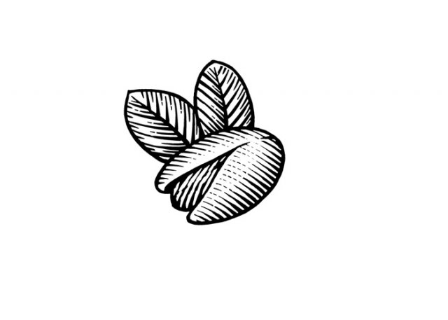 pistachio-art