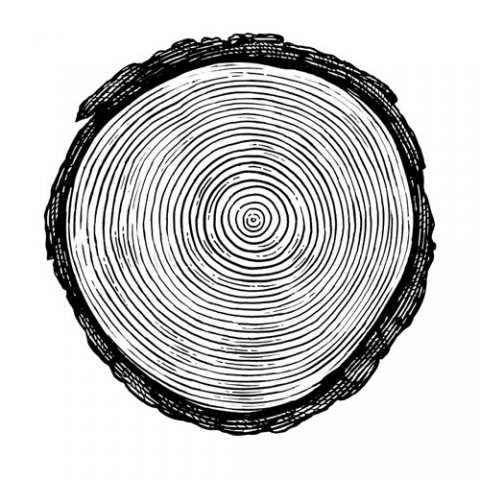 tree-rings-art