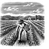 farmer-woodcut