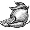 lemon-chili-art