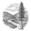 redwood-tree-logo
