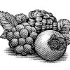triple-berry-art
