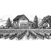 vineyard-scene-art-2